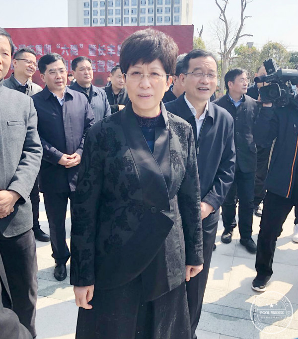 合肥市委副书记,市长凌云及市,县领导于4月2日参加易高家居等长丰县